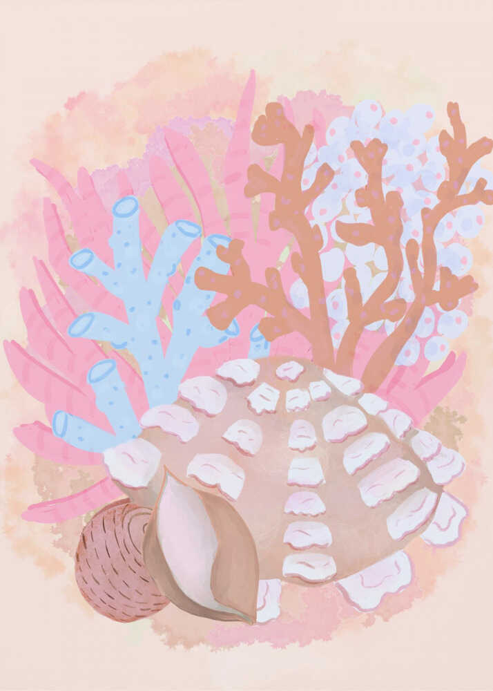 Pink Seashells Poster