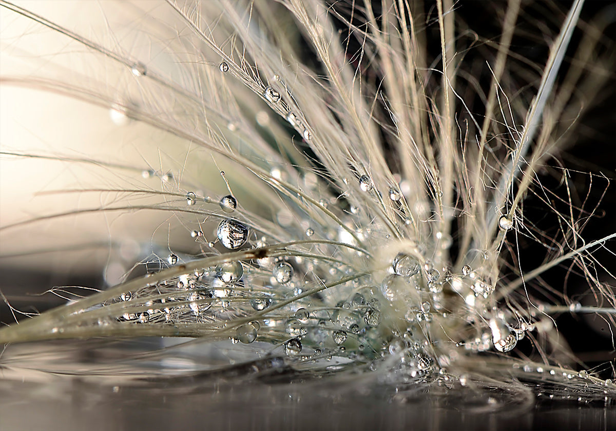 Pearls Poster
