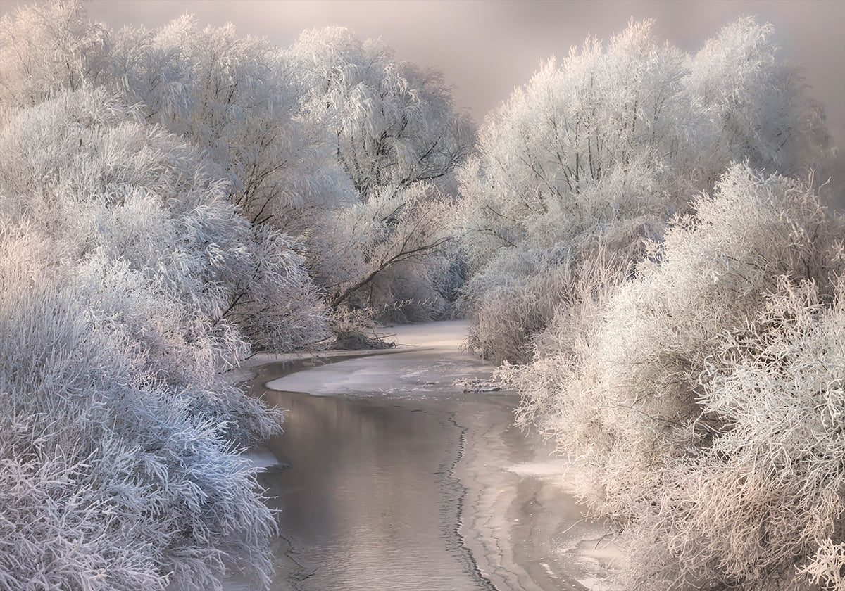 Winter Song