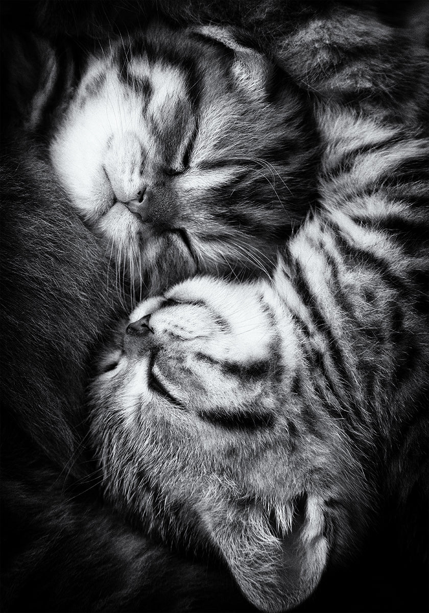 Yin and Yang
