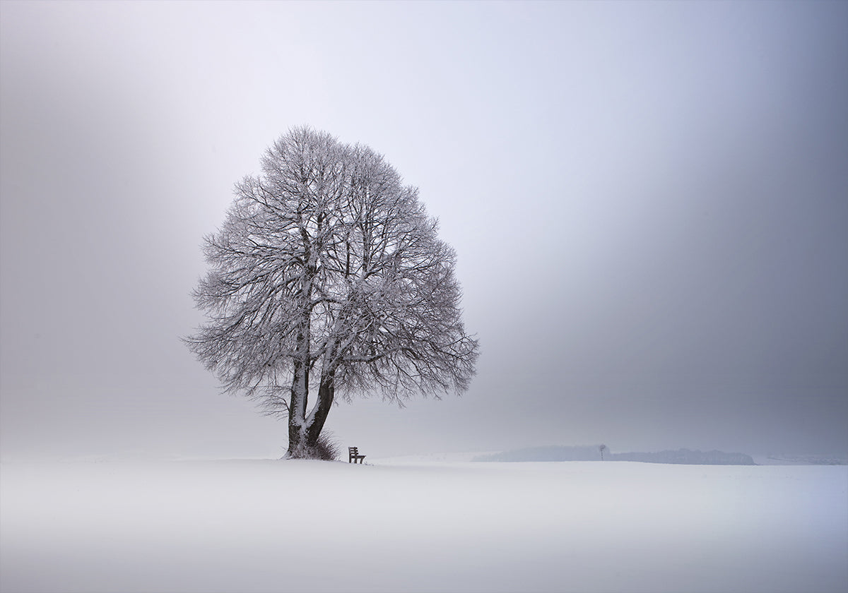 Winter light Poster