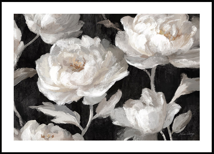 White Peonies On Black Julia Cheney Poster