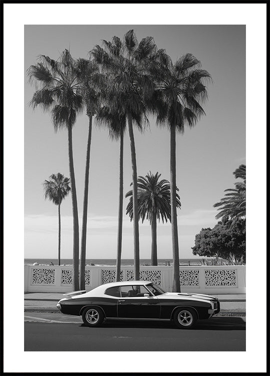 4 036 Topaz Poster