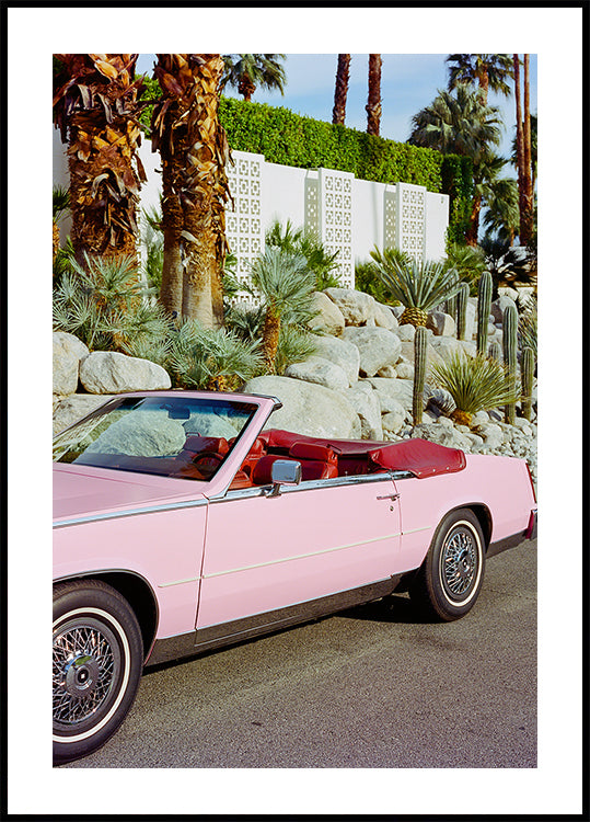 Palm Springs Ride II Poster