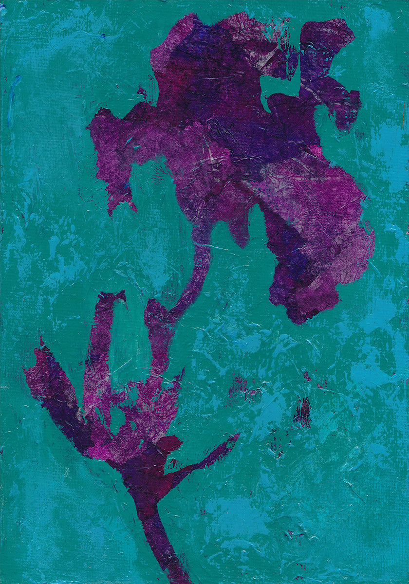 Purple Iris Poster