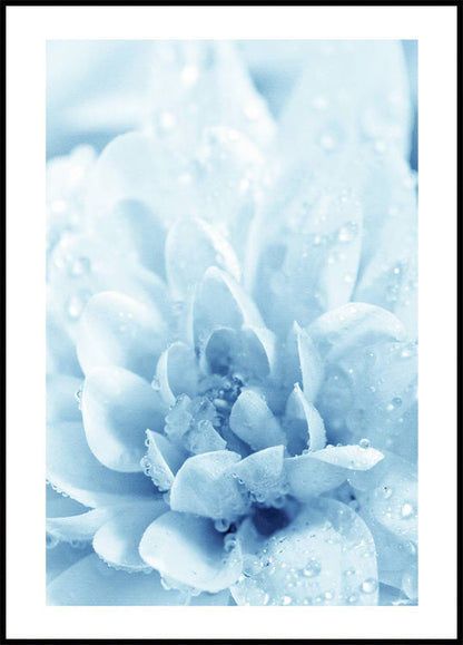 Blue Flowers Plakat - Posterbox.no