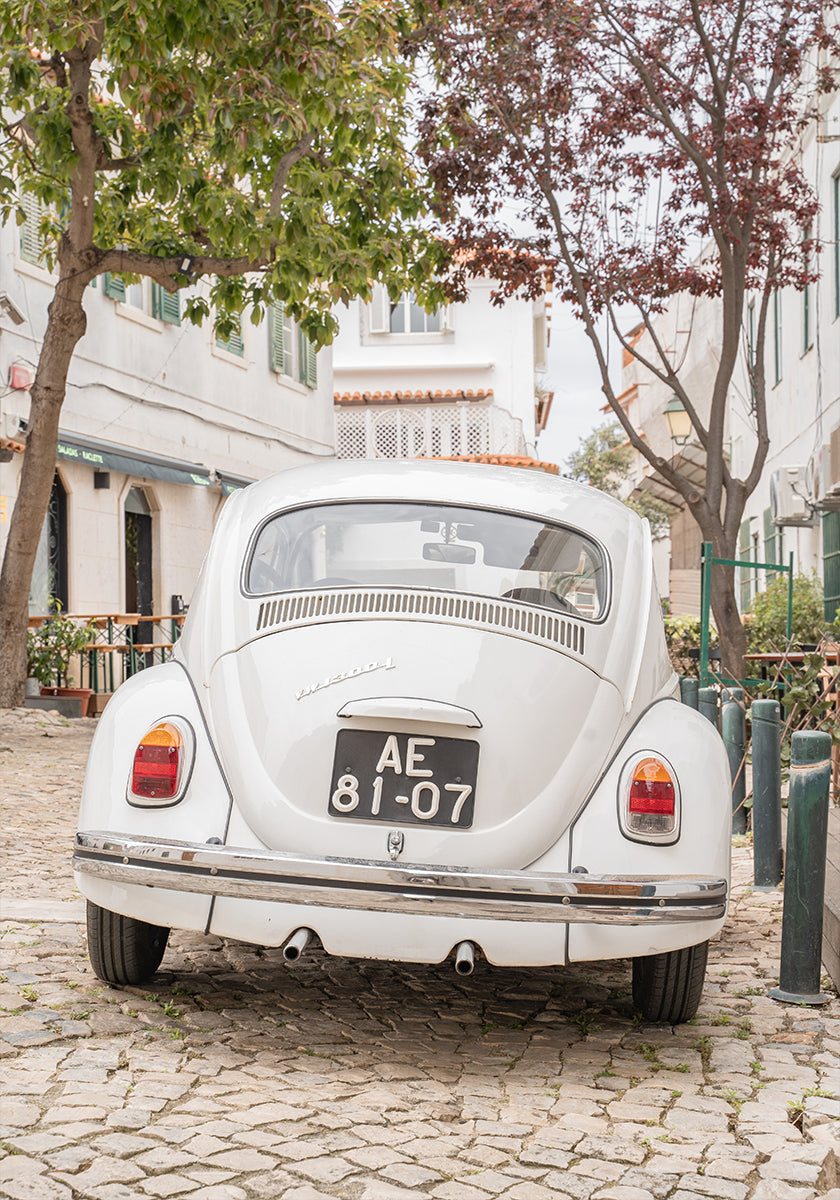 Driving Cascais Poster