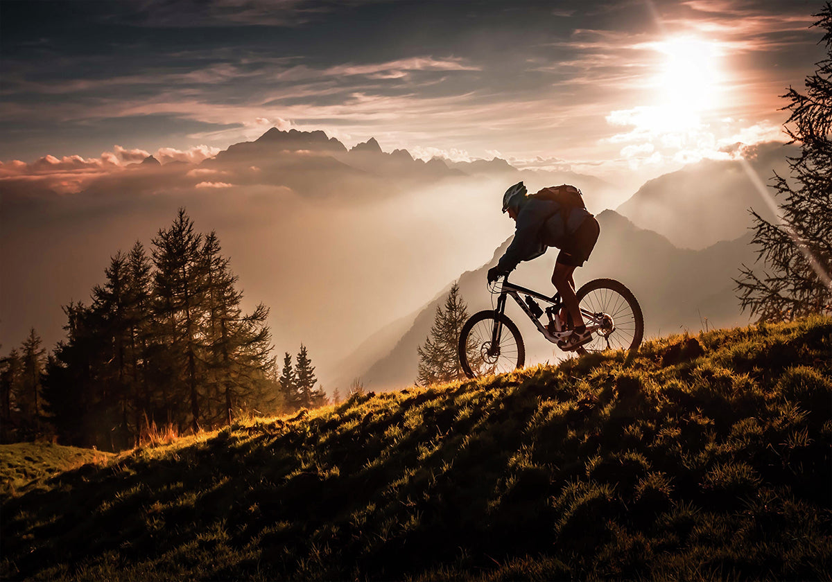 Golden hour biking Poster