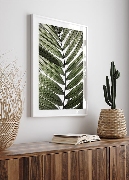 Palm Leaves 24 Poster
