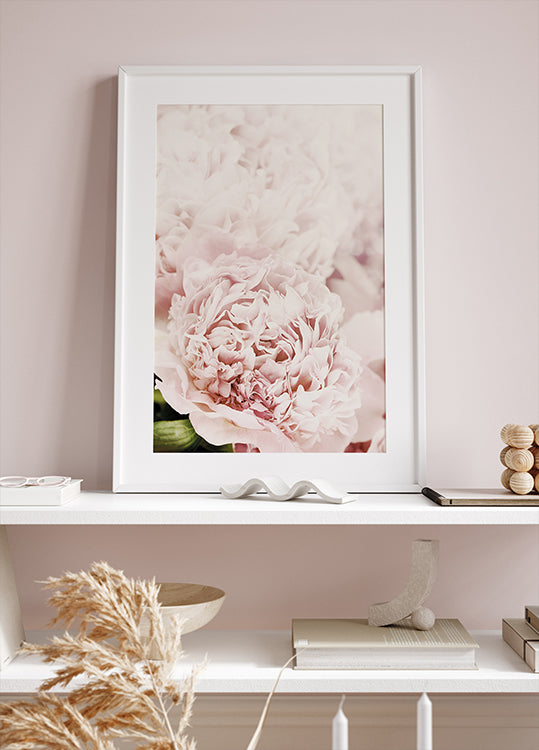 a picture of a pink flower on a shelf