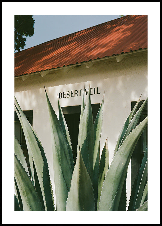 Desert Veil Poster
