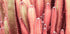 Fairy Red Cactus Plant Plakat - Posterbox.no