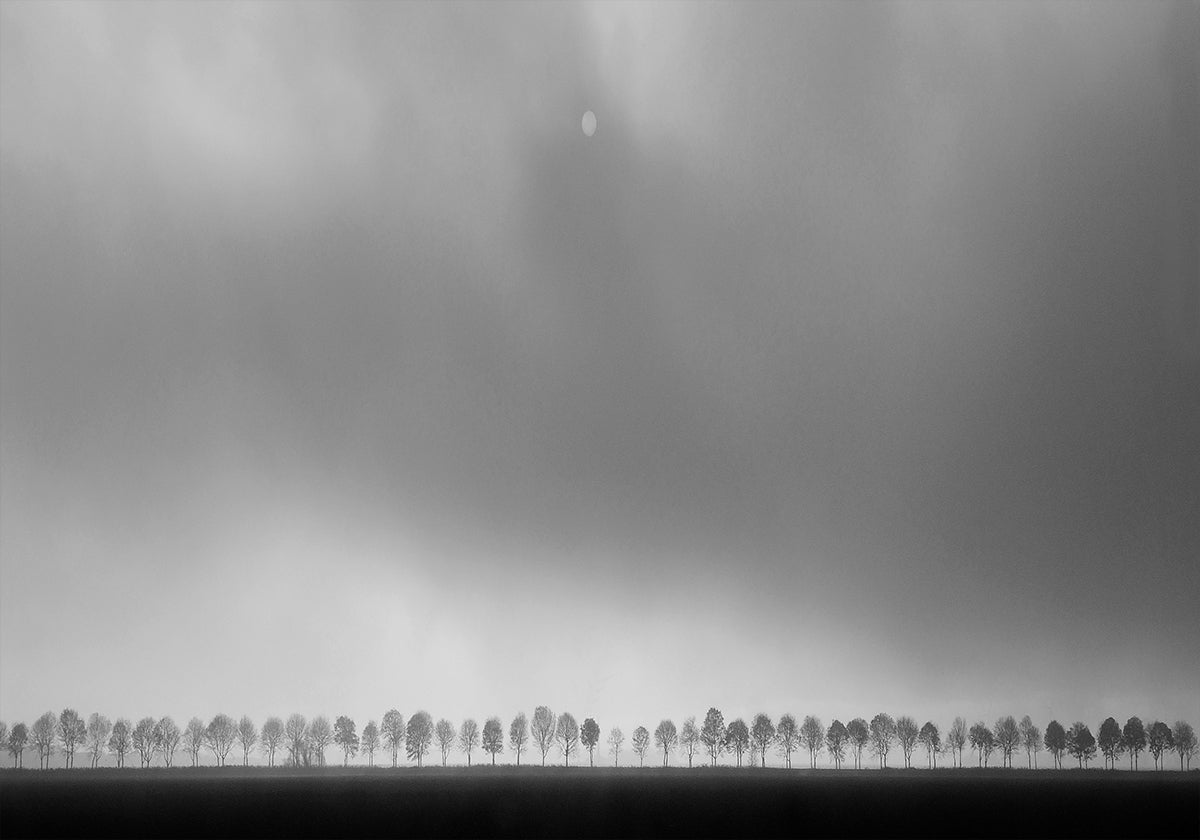 Polderlandscape