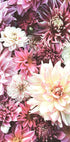 Flowers in Pink Plakat - Posterbox.no