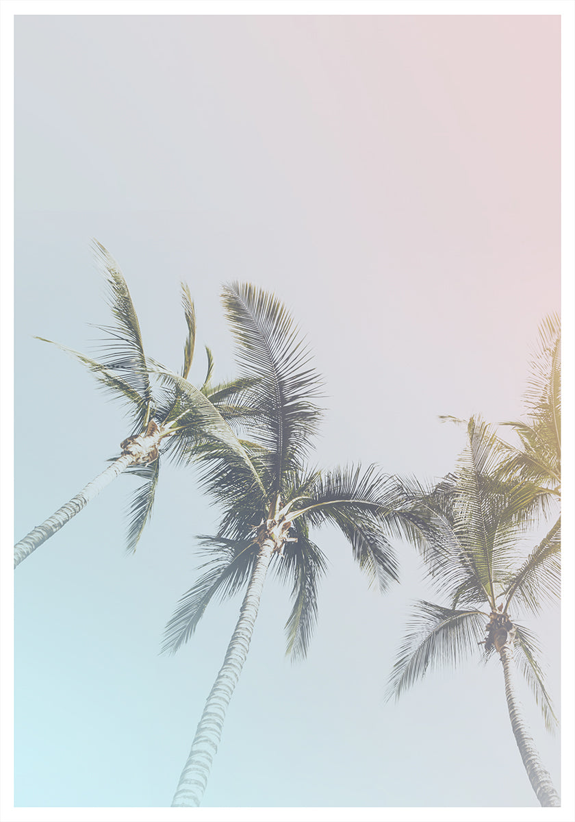 Pastel Palms Bliss Poster