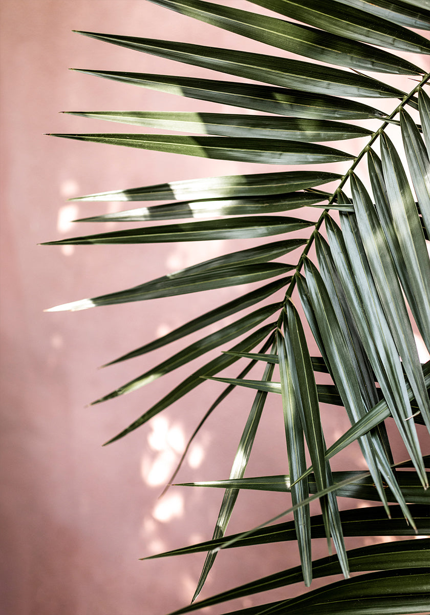 Palm Leaves 23 Poster