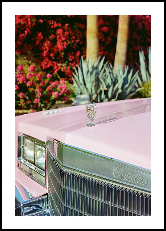 Palm Springs Ride III Poster