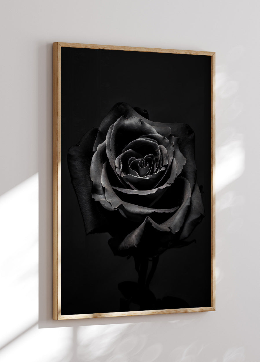 Black Rose Plakat - Posterbox.no