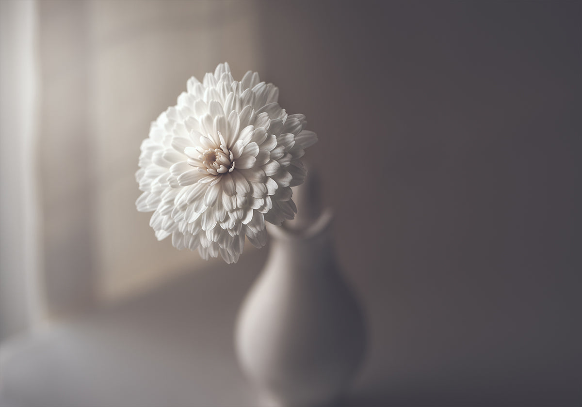 window light