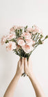 Carnation Flowers Bouquet Plakat - Posterbox.no