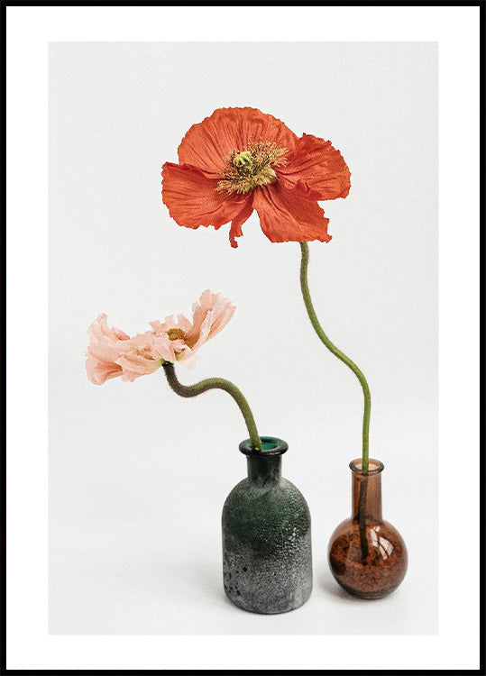 Red and Pink Poppy Flowers Plakat - Posterbox.no