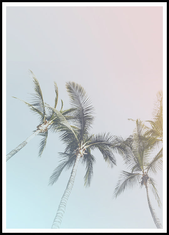 Pastel Palms Bliss Poster