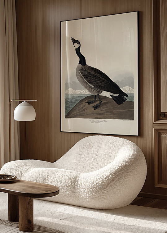 Hutchins's Barnacle Goose From Birds of America (1827) Poster