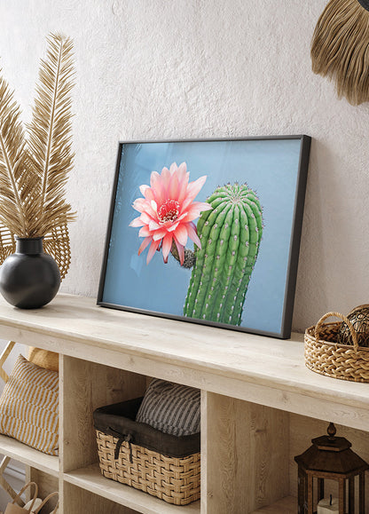 Flowering Cactus Plakat - Posterbox.no