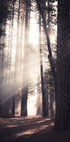 Yosemite Valley Plakat - Posterbox.no
