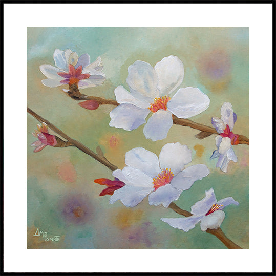 Almond Blossoms Iii Poster