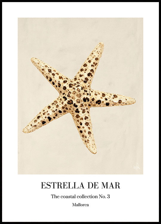 Estrella De Mar Poster
