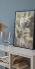 Frozen Laceflower Plakat - Posterbox.no