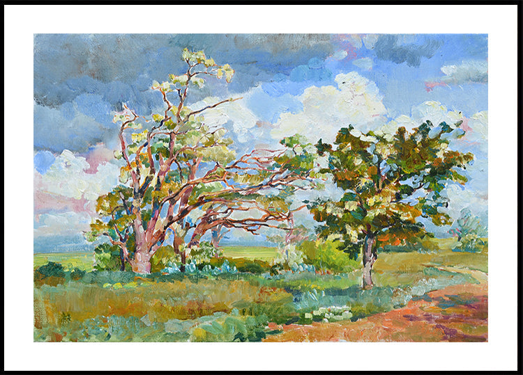 Acacia is blooming Poster