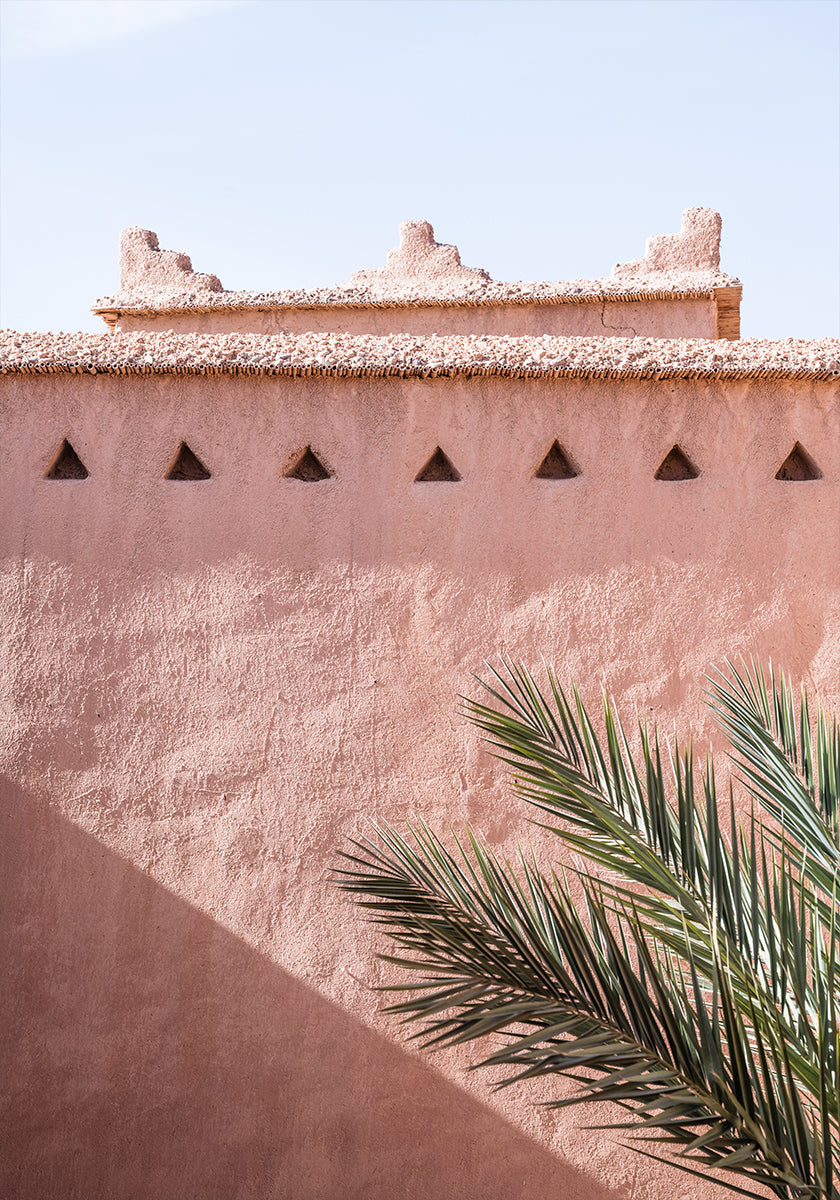 Palm and pink building Poster