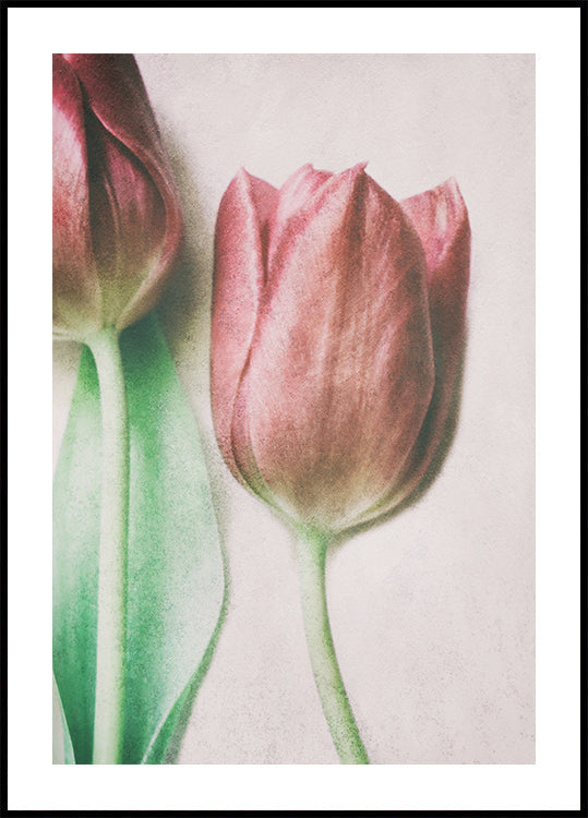 The Spring Lovers Poster