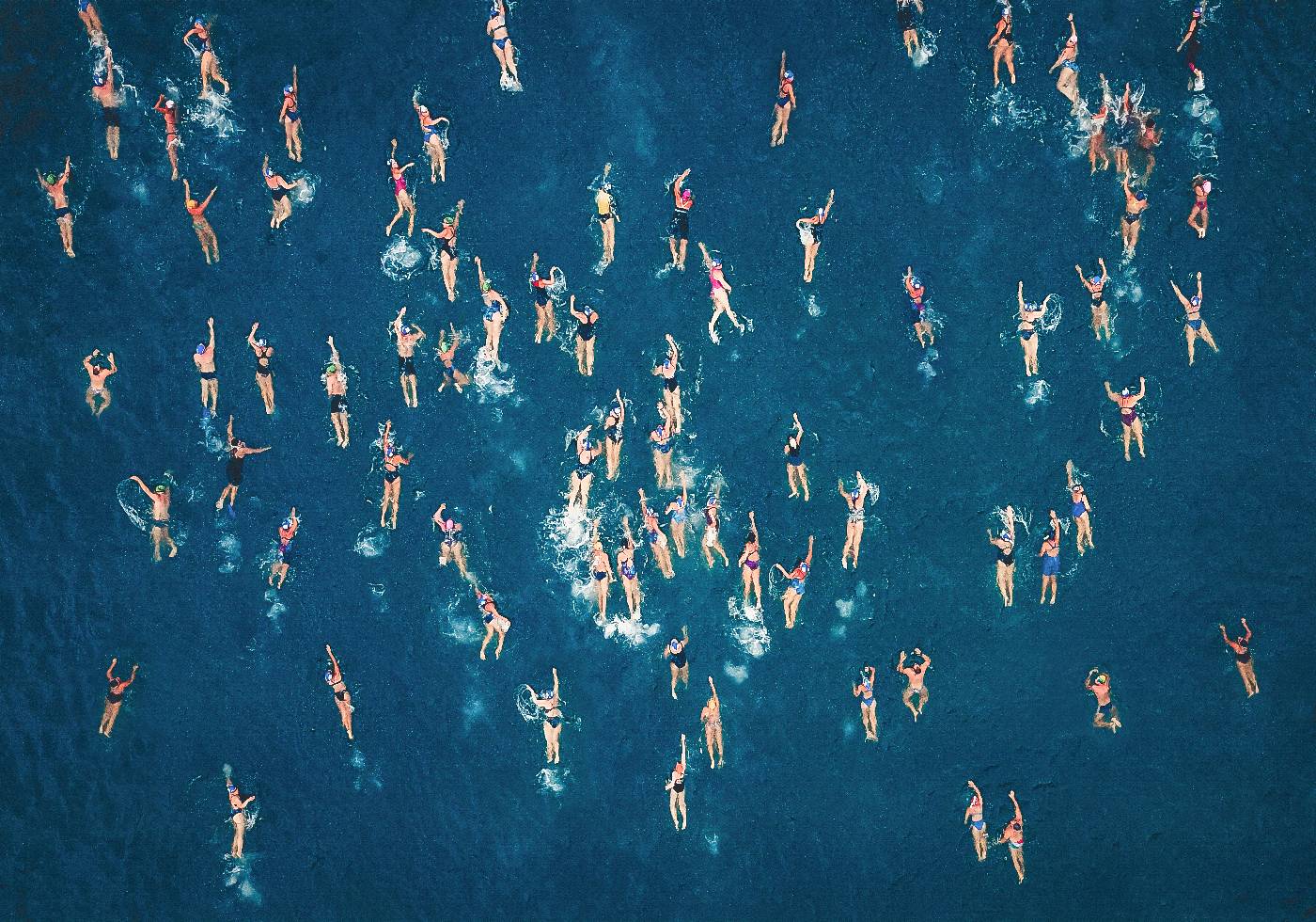 Swimming Wall Art Poster