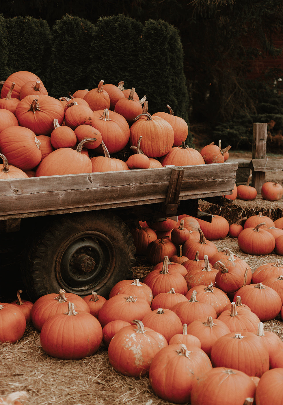 Pumpkin Patch Truck Poster