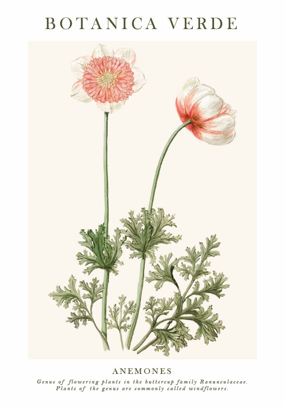 Anemones Poster