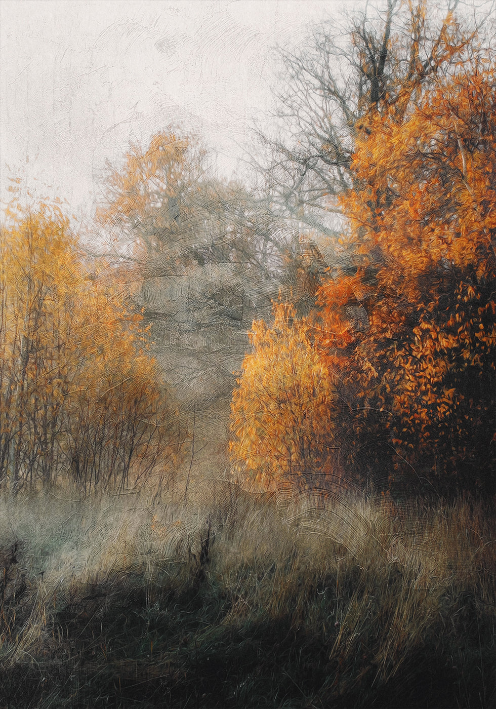 Autumn Forest Poster