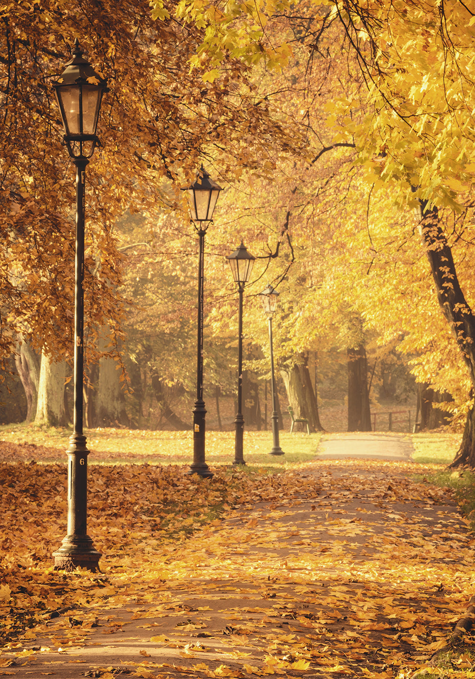 Golden Autumn Park Path Poster