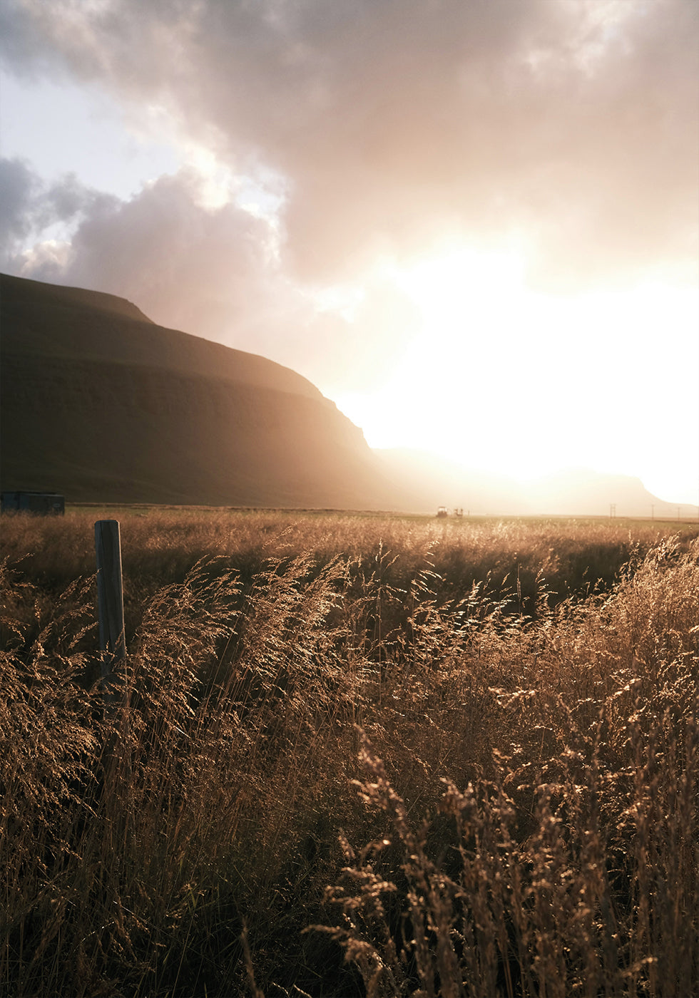 Golden Fields at Dusk Poster