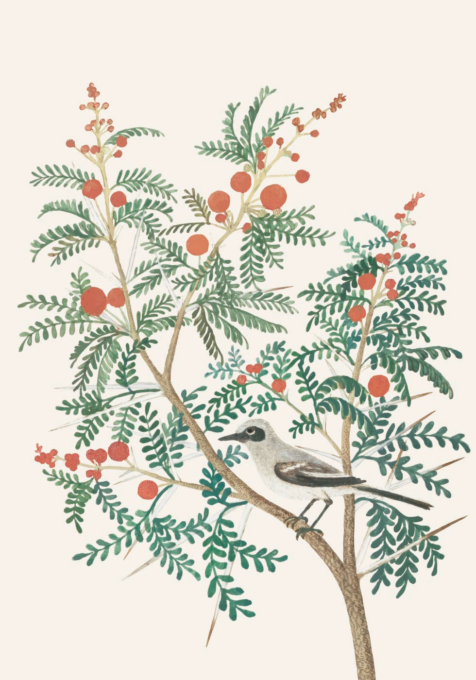 Bird And Red Berries Poster