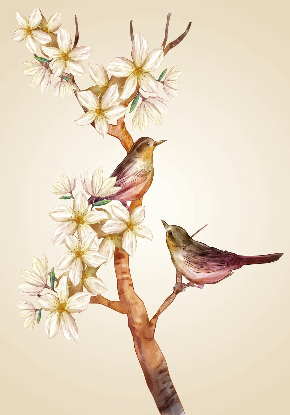 Bird On Branch Poster