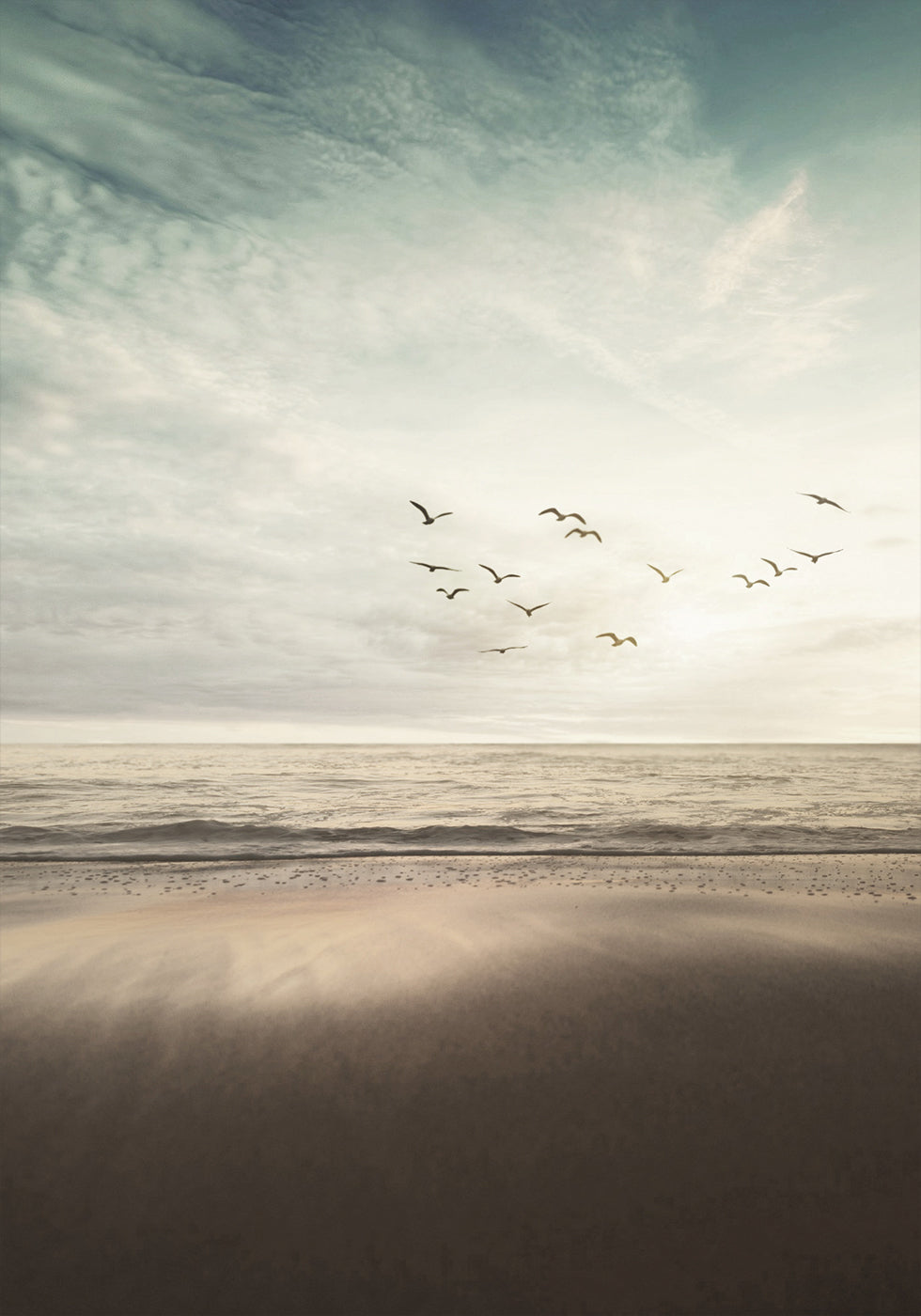 Birds Fly On The Coast Poster