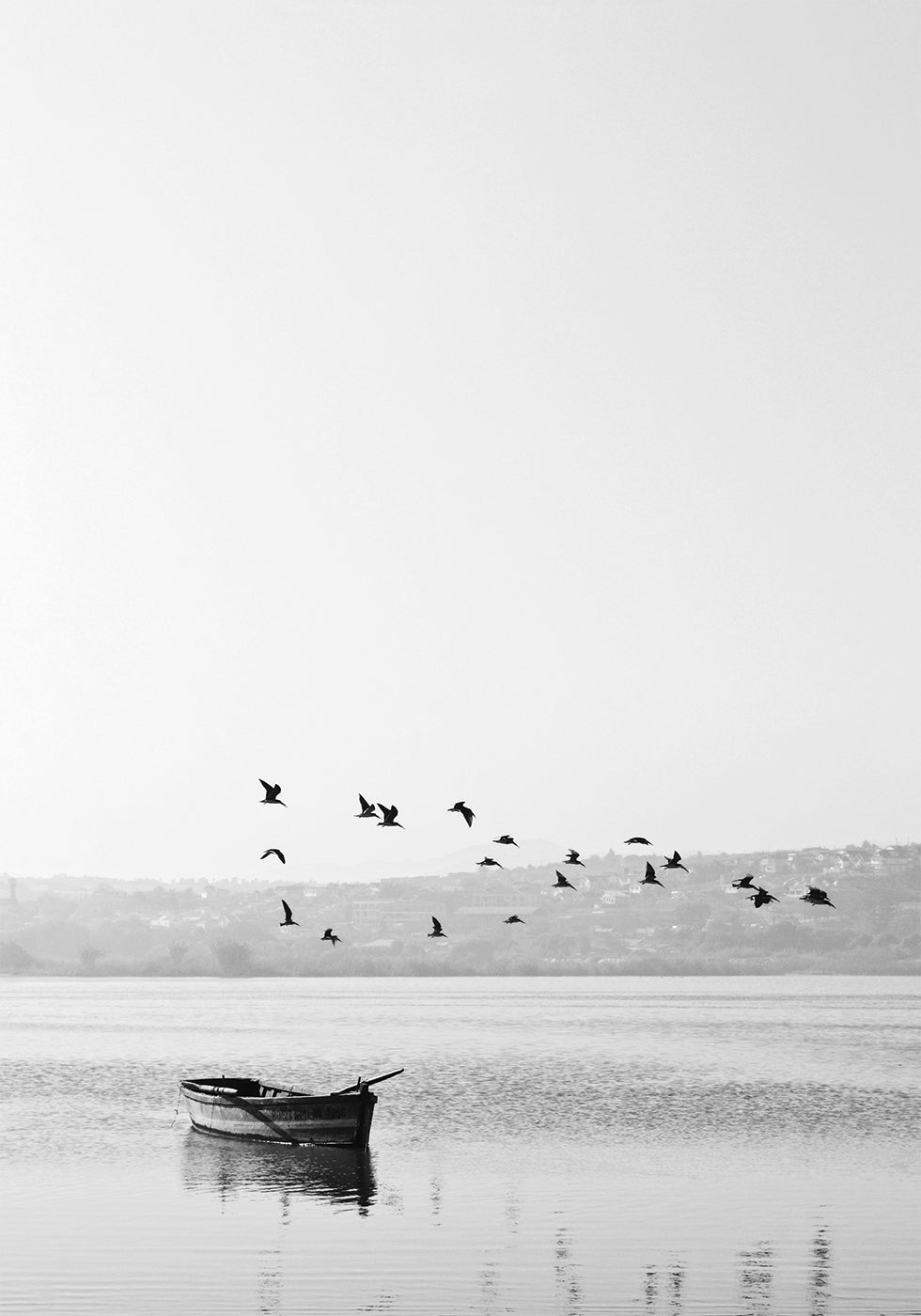 Birds Over Lake Poster