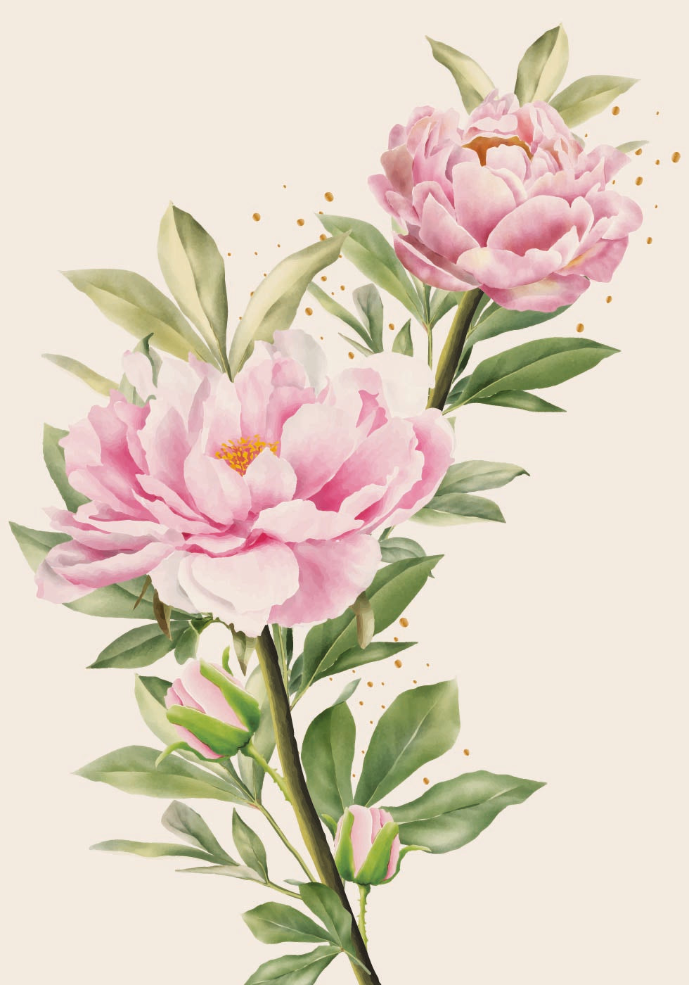 Blooming Peonies Poster