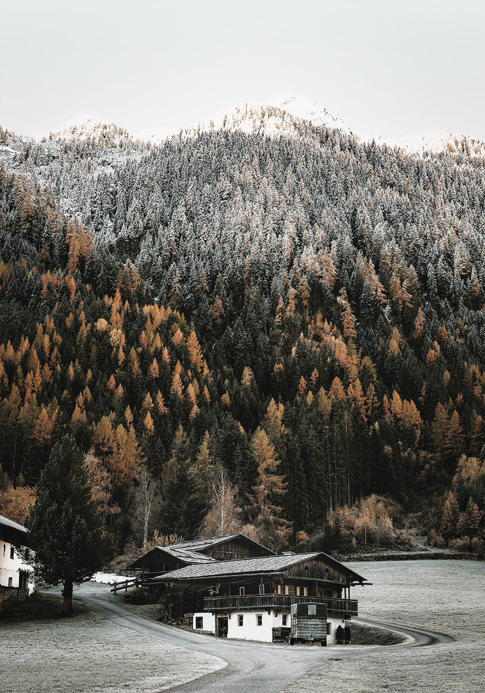 Buildings In Front Of Mountains Poster