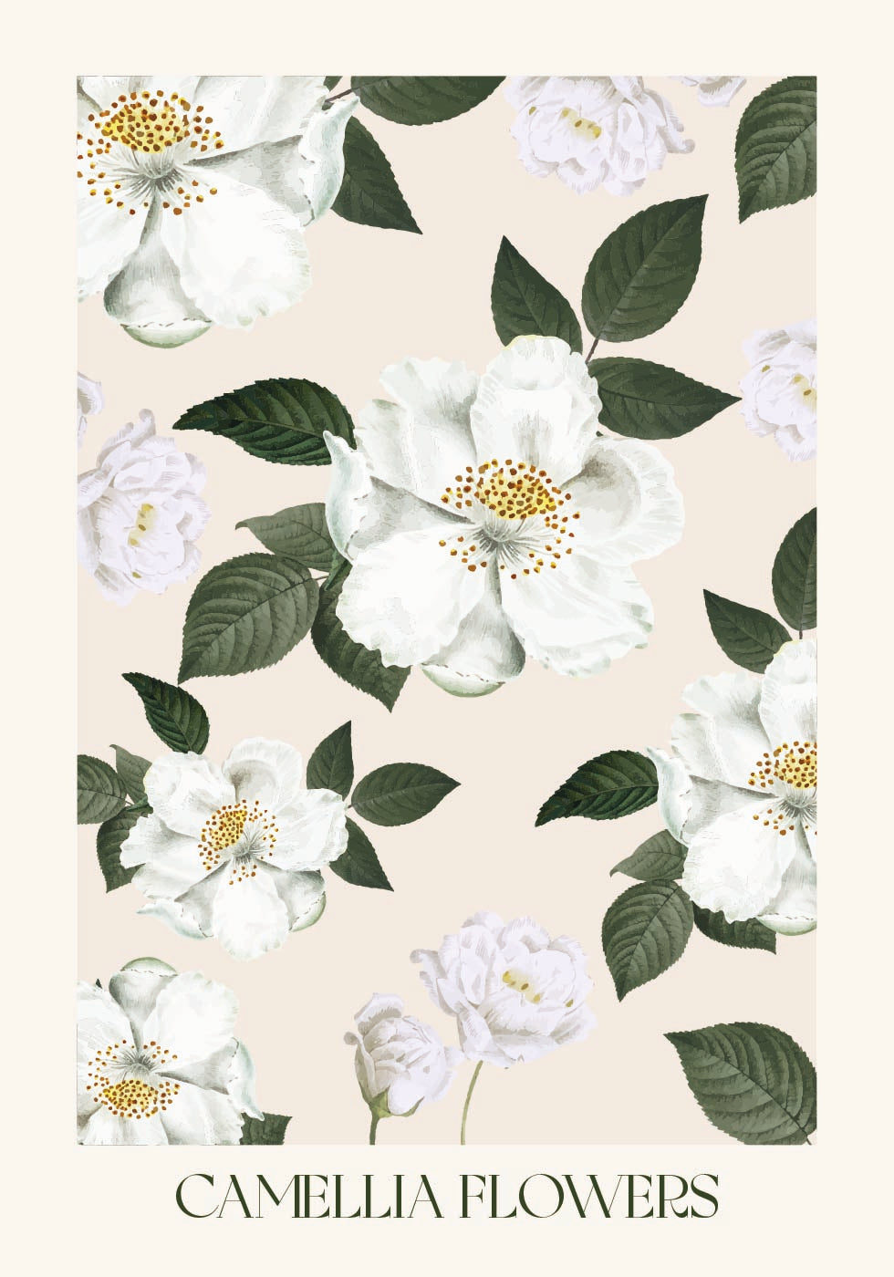 Camellia Flowers Poster