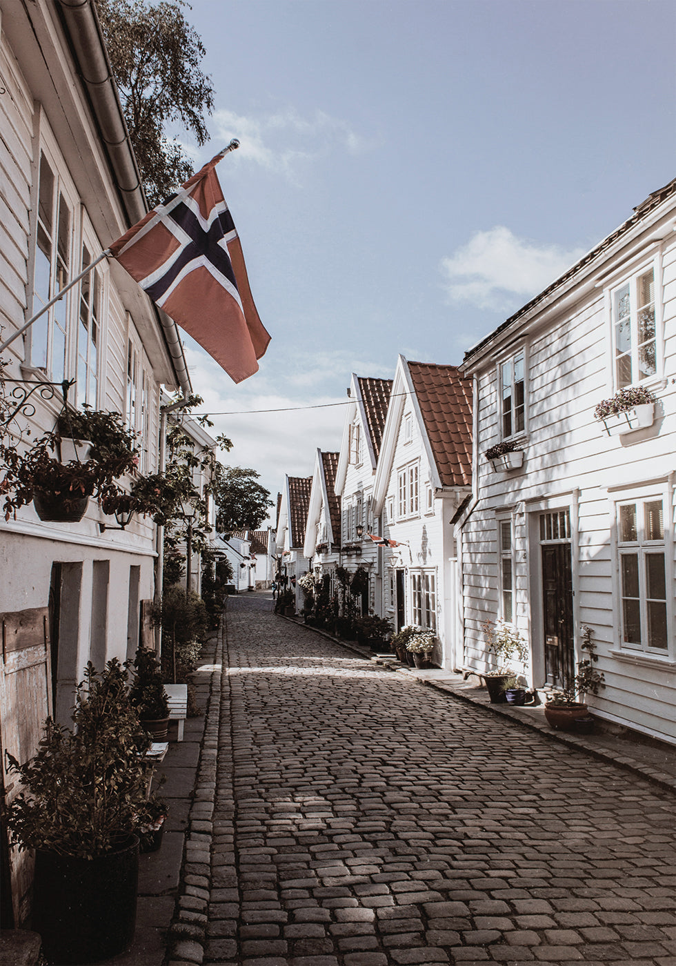 Cozy Street in Norway Poster