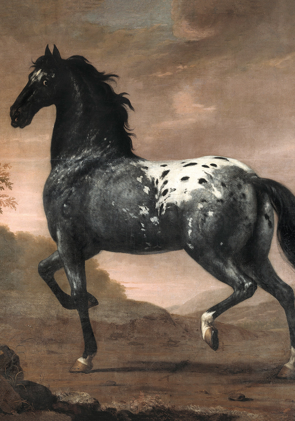 Karl XI's Royal Horse "Blue Tiger" Poster